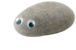 Pet rock Meme Template