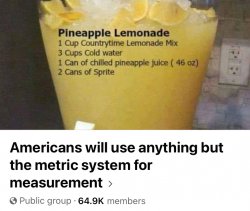 Americans will use anything but the metric system Meme Template