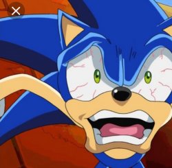 Crazy Sonic Meme Template