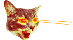 cat laser Meme Template