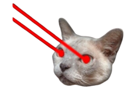 cat laser eyes Meme Template