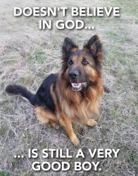 Dog doesn’t believe in God Meme Template