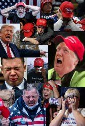 maga tears Meme Template