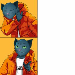 Drake Hotline Bling Meme (Catsyard Edition) Meme Template