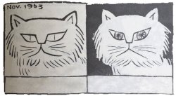 Hypocrite Cat Meme Template