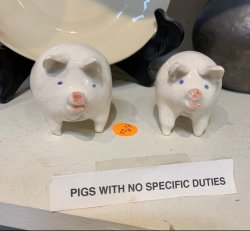 pigs with no specific duties Meme Template