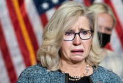 Liz Cheney Meme Template