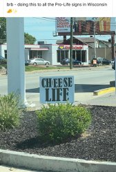 Cheese life Meme Template