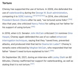 Liz Cheney supports torture Meme Template