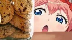sayori and cookies Meme Template