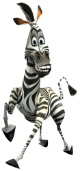 Marty the Zebra Meme Template