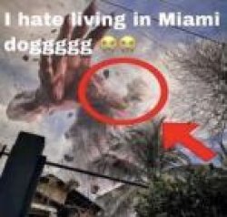 I hate living in Miami doggggg Meme Template