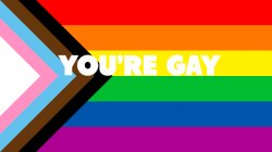 YOURE GAY MEME Meme Template