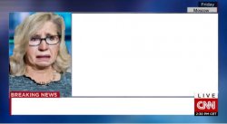 Liz Cheney CNN Psycho Meme Template