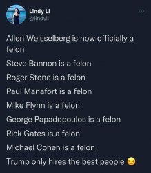 Trump associate felons Meme Template