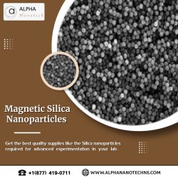 Magnetic Silica Nanoparticles Meme Template