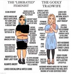 The liberated feminist vs. the Godly tradwife redacted Meme Template
