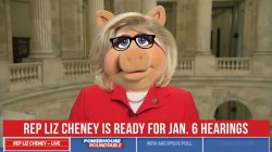 Liz Cheney Meme Template