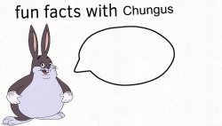 Fun facts with chungus Meme Template