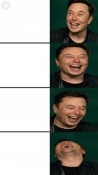 Elon musk Meme Template