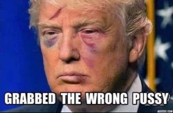 Trump Grabbed the Wrong Pussy Meme Template