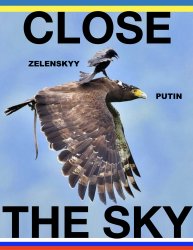 Close The Sky  Zelensky Putin Meme Meme Template