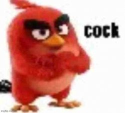 red angry birds cock Meme Template