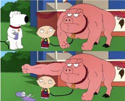 Pig punches Brian Meme Template