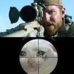 Chris Kyle sniper cat meme Meme Template