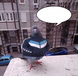 pigeon slavic pigeon Meme Template
