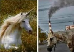 Unicorn and Horse smokestack Meme Template