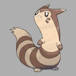 Furret with Swadloon's Face Meme Template