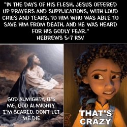 Jesus as God: That’s crazy Meme Template