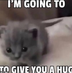 im going to  to give you a hug Meme Template