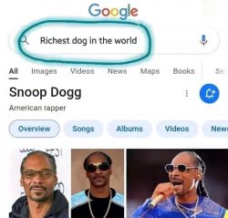 Richest dog in the world Snoop Dogg Meme Template