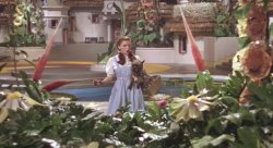 not in kansas anymore Meme Template