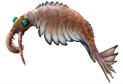 Anomalocaris Meme Template