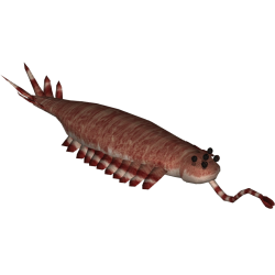 Opabinia Meme Template