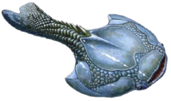 Drepanaspis Meme Template