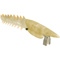 Aegirocassis Meme Template