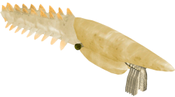 Aegirocassis Meme Template