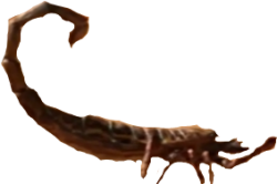 Brontoscorpio Meme Template