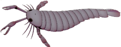 Pterygotus Meme Template
