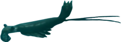 Walking With Monsters Anomalocaris Meme Template