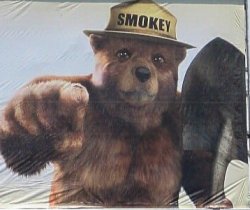 Only You Can Prevent Meme Template