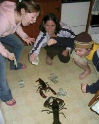 Gambling scorpion Meme Template