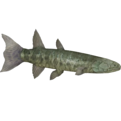 Hyneria Meme Template