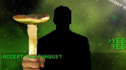 Have a fungus Meme Template