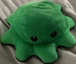 Octopus fidget toy Meme Template