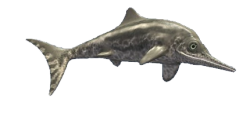 Ichthyosaurus Meme Template